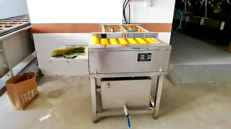 粽葉清洗機(jī)1