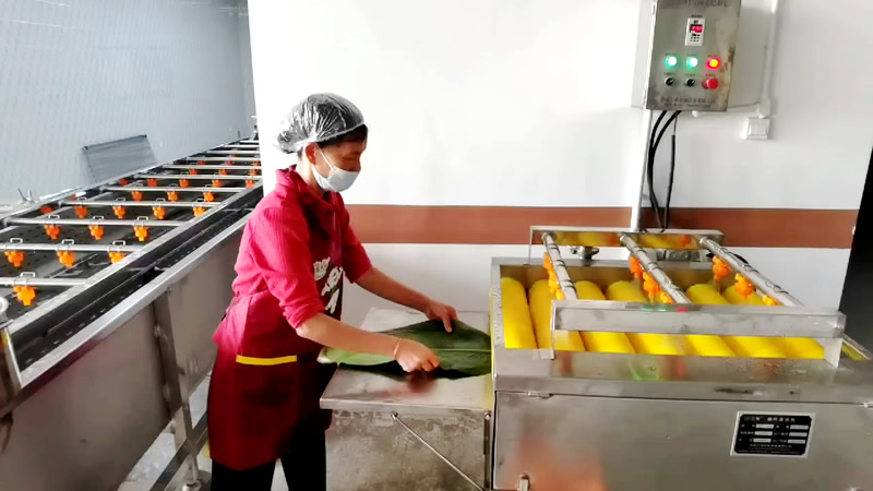 粽葉清洗機(jī)2